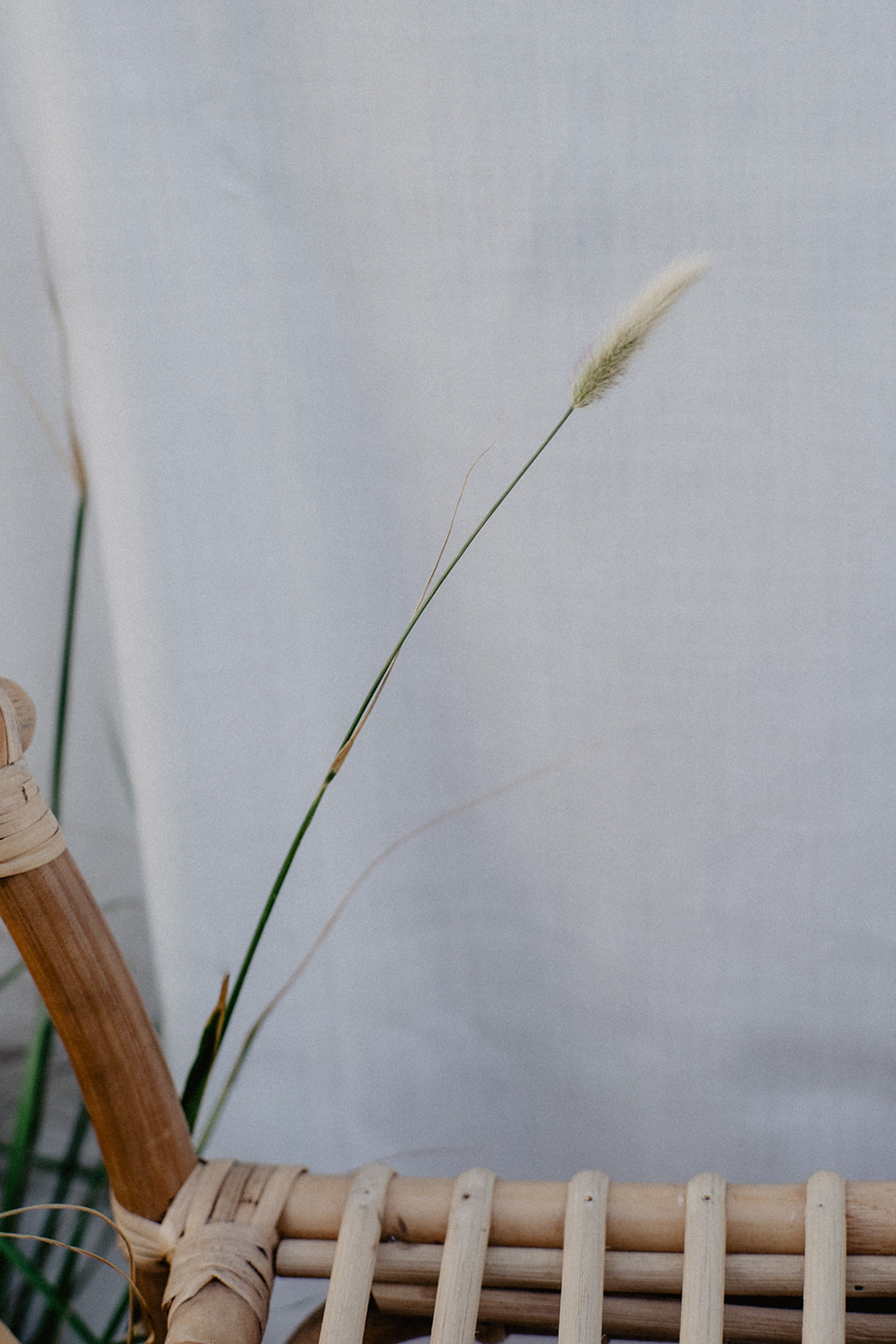 wedding deco natural